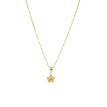 Gold Star Charm Necklace 21KT - FKJNKL21KM11304